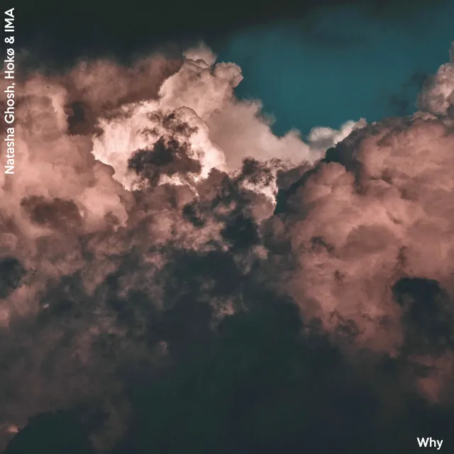 Why (feat. Natasha Ghosh)