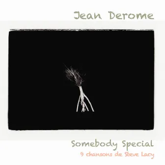 Somebody Special by Jean Derome