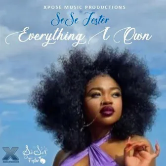 Everything I Own by Sese Foster