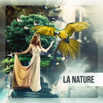 La nature - Pour dormir, Méditer et détente (Musique d’ambiance et sons de la nature) by Pure zone des bruits naturels