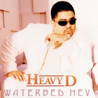 Waterbed Hev by Heavy D