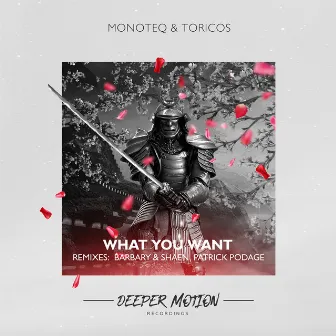 What You Want (The Remixes) by Monoteq