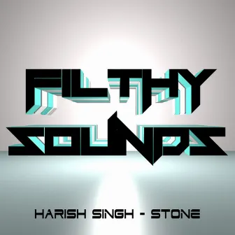 Stone by Harish Singh