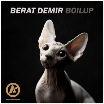 Boilup by Berat Demir