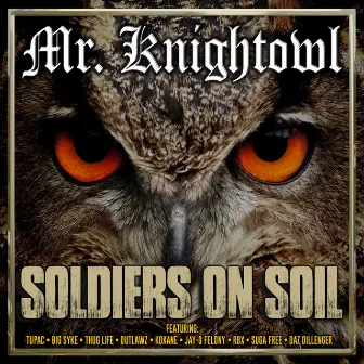 Soldiers on Soil by Big Syke