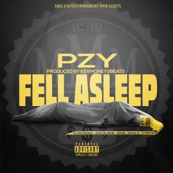 Fell Asleep by Pzy Mmmz