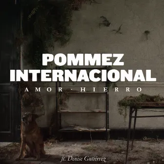 Amor Hierro by Pommez Internacional