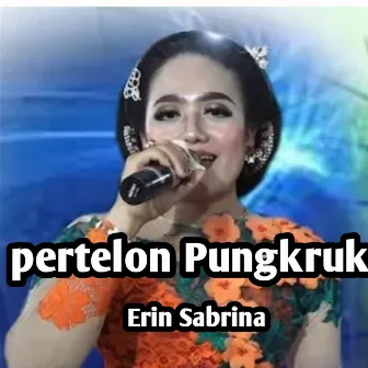 Pertelon Pungkruk by Erin Sabrina