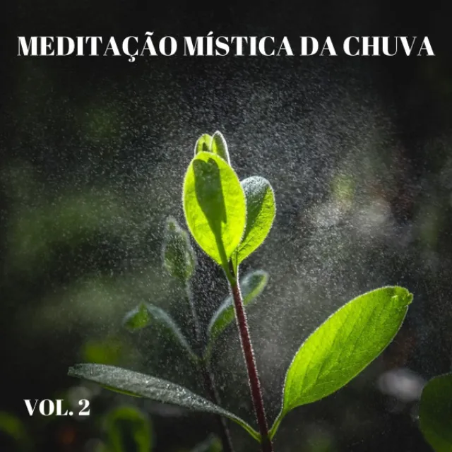 Meditação Mística Da Chuva Vol. 2