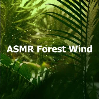 ASMR Forest Wind by Forest Wind Sounds