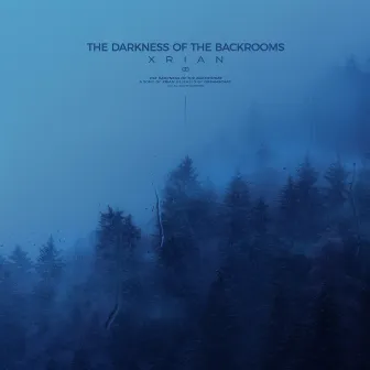 the darkness of the backrooms by XRIAN