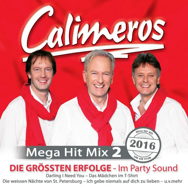 Mega Hit Mix 2 Die grössten Erfolge im Party Sound