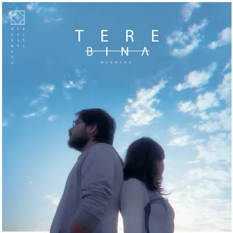 Tere Bina by WORMONO