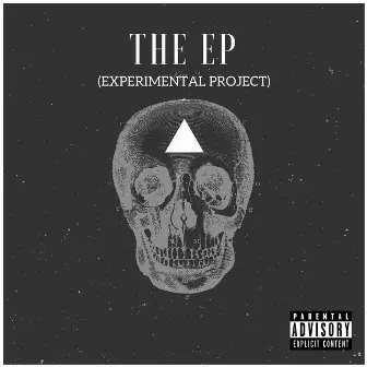 The Experimental Project by Luey T