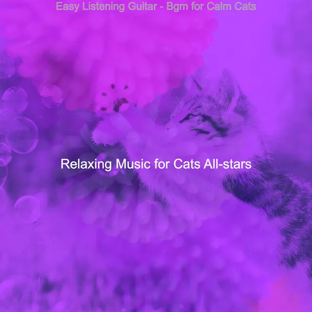 Successful Easy Listening Music - Vibe for Relaxing Cats