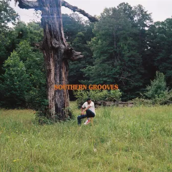 Southern Grooves by Grimm Lynn