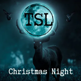 Christmas Night (feat. Peter Klett) by TSL