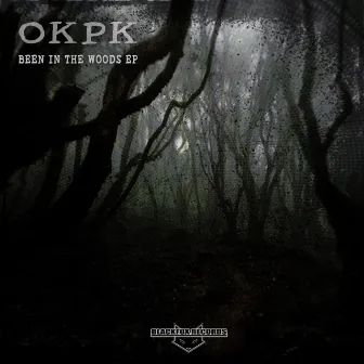 Been In The Woods by okpk