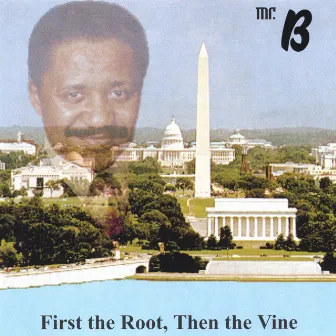 First The Root And Then The Vine At Just The Right Time by Mr. B