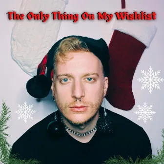 The Only Thing On My Wishlist by Mat Vansen