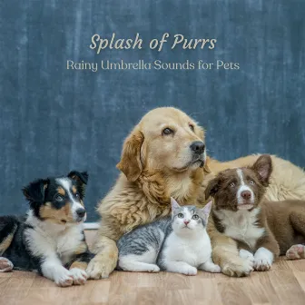 Splash of Purrs: Rainy Umbrella Sounds for Pets by Relax Rain