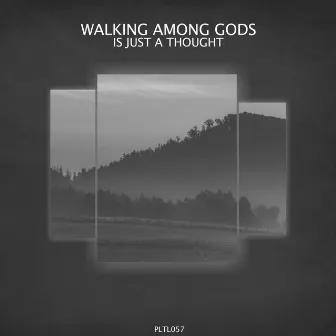 Is Just a Thought by Walking Among Gods