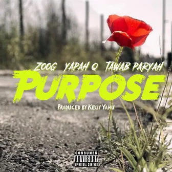 Purpose by Zoog