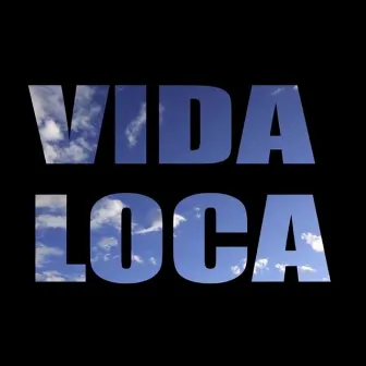 Vida Loca by Aoshi