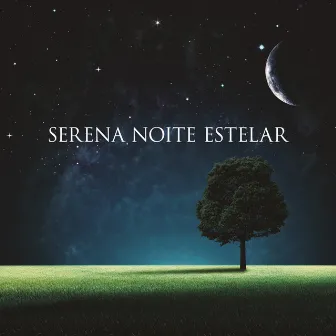 Serena Noite Estelar: Melodias Tranquilas para uma Meditação Noturna Profunda e Inspiradora by Mestre dos Sons Tranquilos