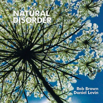 Natural disorder by Rob Brown