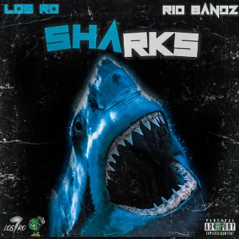 Sharks by Los Ro