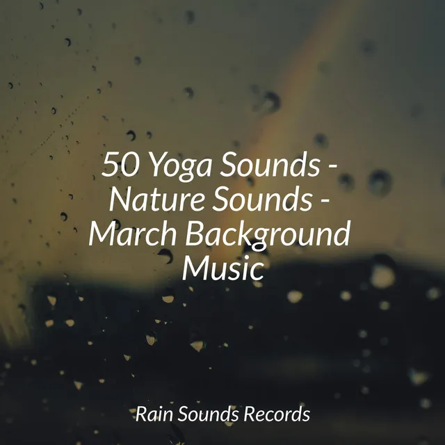 50 Yoga Sounds - Nature Sounds - March Background Music