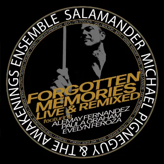 Forgotten Memories Live & Remixed by Salamander