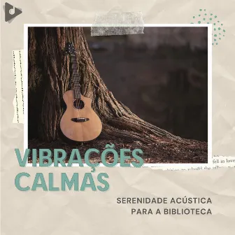 Serenidade Acústica Para A Biblioteca by Música Estudo do Cérebro Pessoal