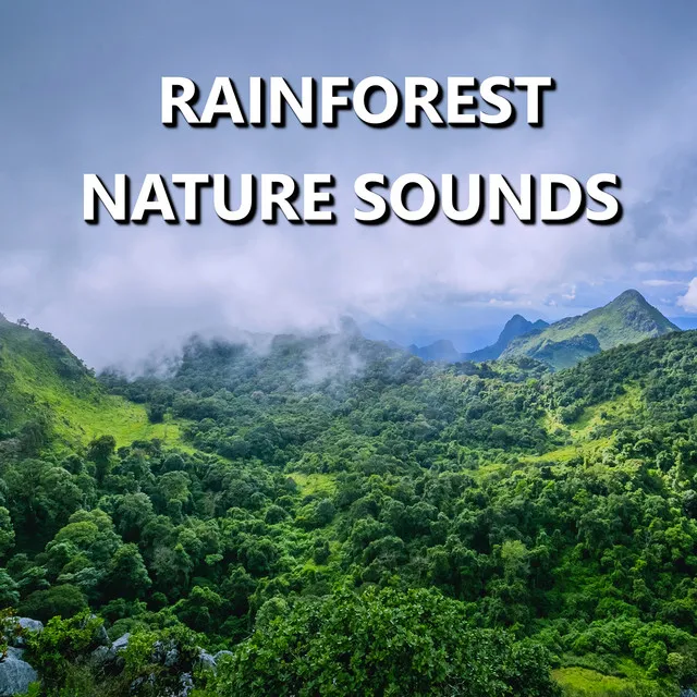 Rainforest Nature Sounds