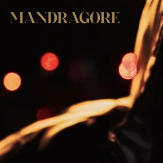 Mandragore by Phosphore