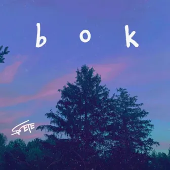 b o k by Svete