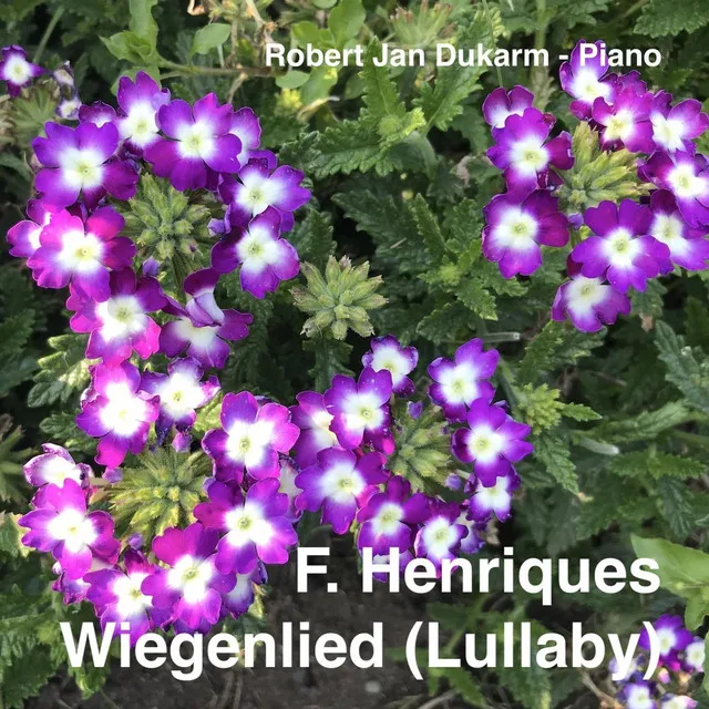 F. Henriques: Wiegenlied (Lullaby)