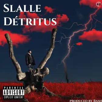 Détritus by Slalle