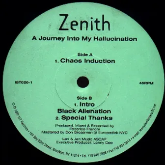 A Journey into My Hallucination by Zenith