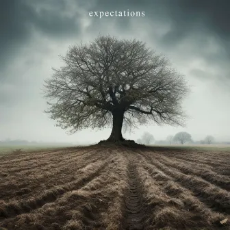 expectations by 