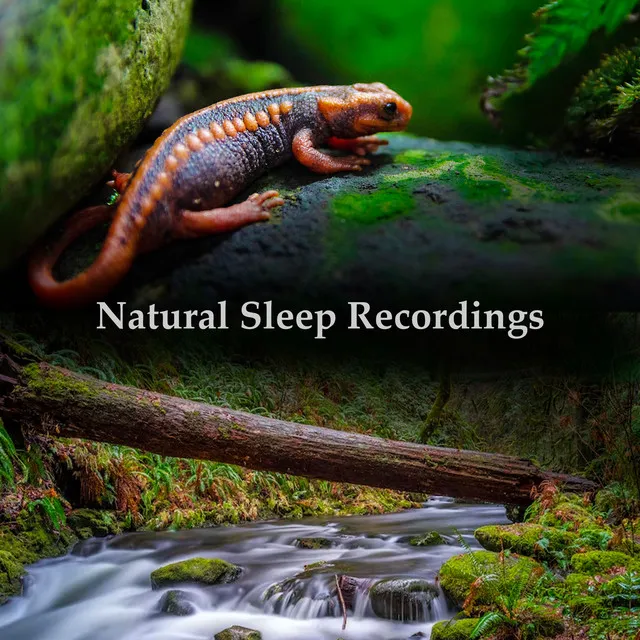 Natural Sleep Recordings