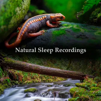 Natural Sleep Recordings by Naturally Recurring