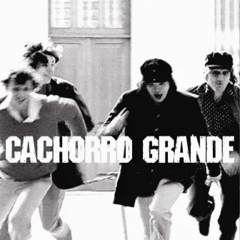 Cachorro Grande by Cachorro Grande