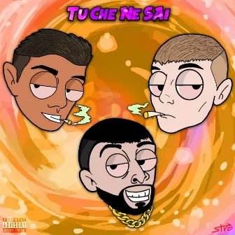 Tu che ne sai by Mek