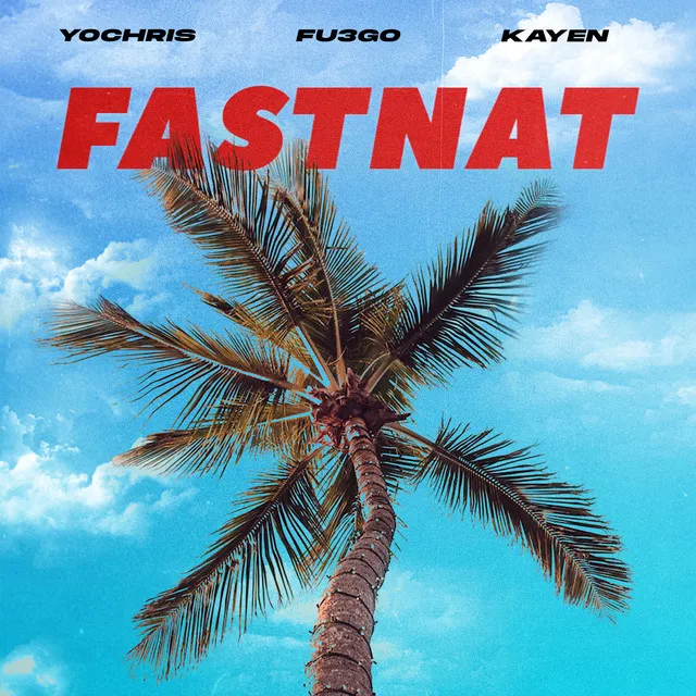 FASTNAT