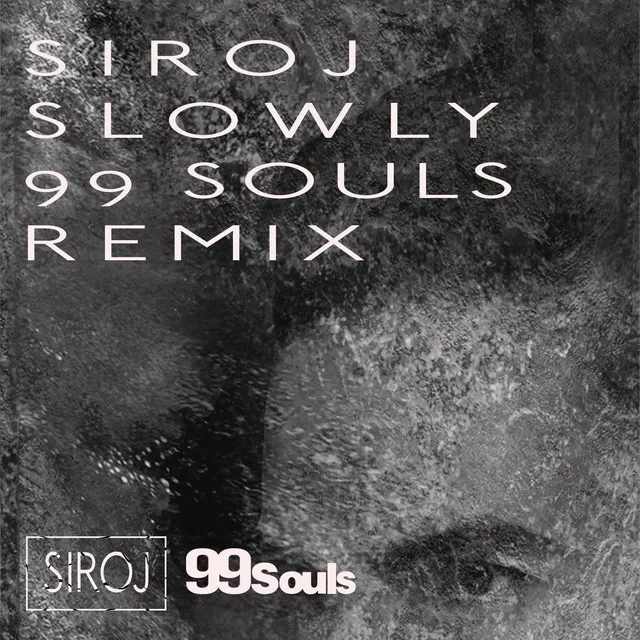 Slowly (feat. Ayden) - 99 Souls Remix [Radio Edit]