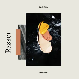 Stimulus EP by Rasser