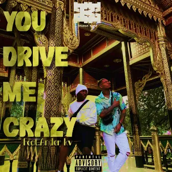 You Drive Me Crazy by Ary Bronze