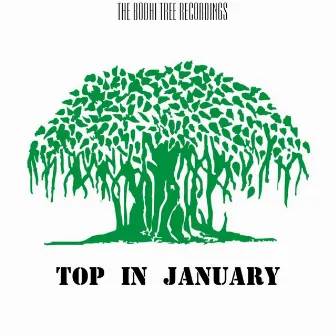 Top in January by Amerov David